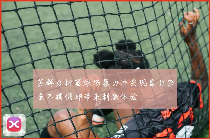 苏群分析篮球场暴力冲突现象打架虽不提倡却带来刺激体验