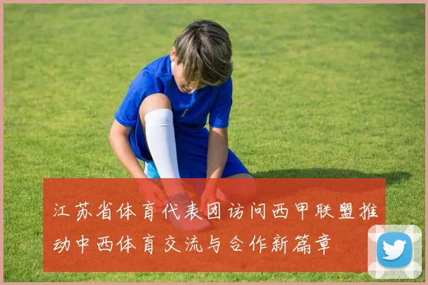 江苏省体育代表团访问西甲联盟推动中西体育交流与合作新篇章