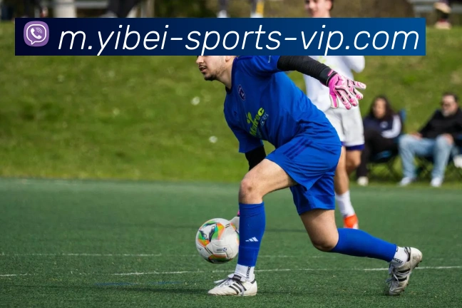 易倍体育APP 体育赛事宣传图